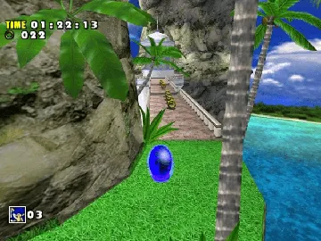 Sonic Adventure DX - Director's Cut screen shot game playing